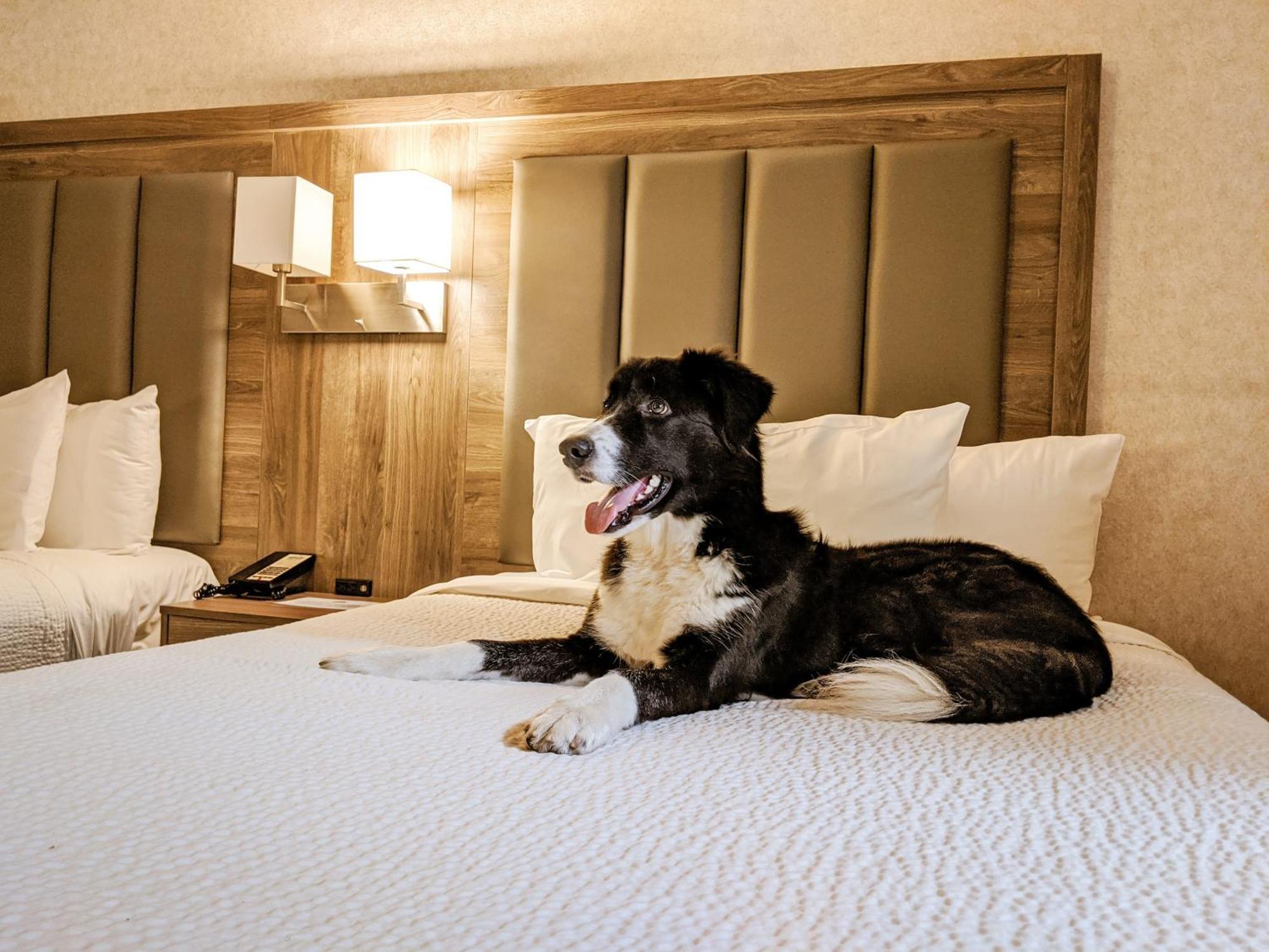 Days Inn By Wyndham Victoria On The Harbour Экстерьер фото